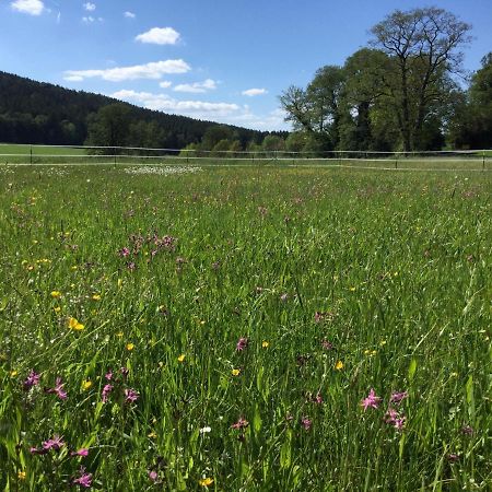 Haus Am Treffenbach Lägenhet Waldmünchen Exteriör bild