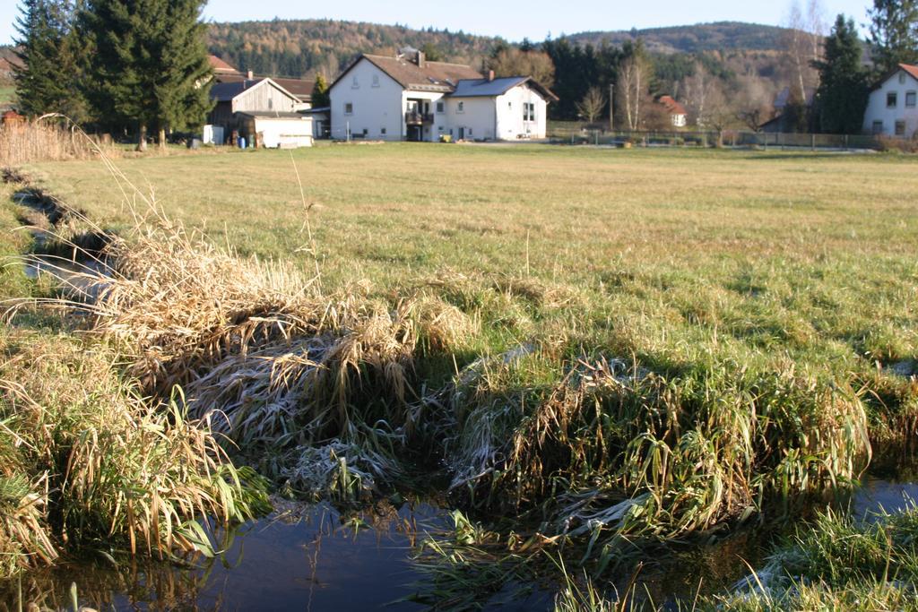 Haus Am Treffenbach Lägenhet Waldmünchen Exteriör bild